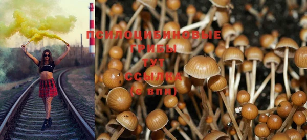 не бодяженный Алзамай