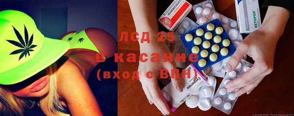 ПСИЛОЦИБИНОВЫЕ ГРИБЫ Белая Холуница